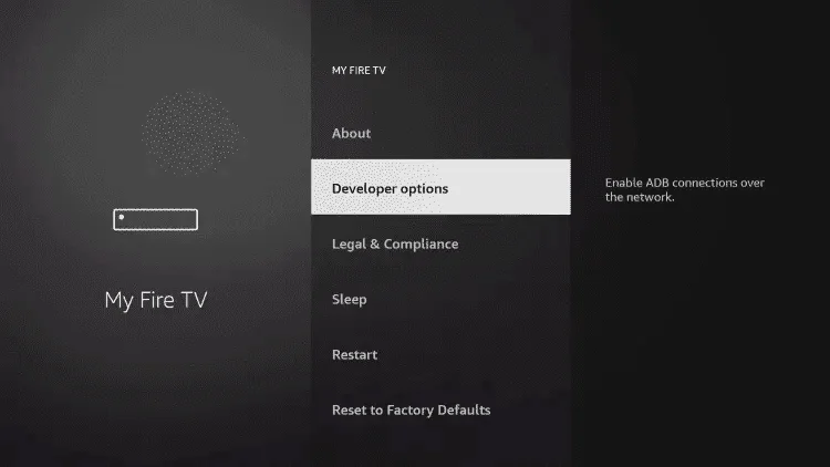 Select Developer Option